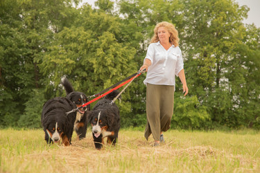 Similar image 21184487