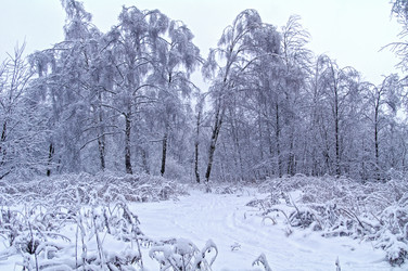 Similar image 21167507