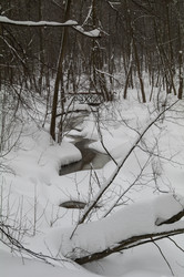 Similar image 21167508