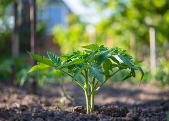 Similar image 21168150