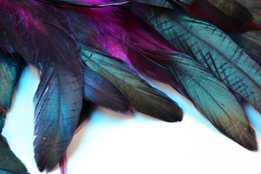 Similar image 21168825