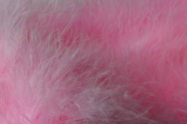 Similar image 21168829