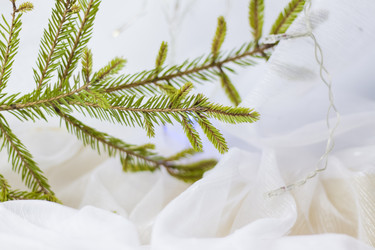 Similar image 21176023