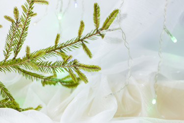 Similar image 21176050