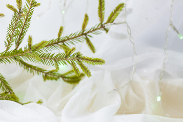 Similar image 21176072