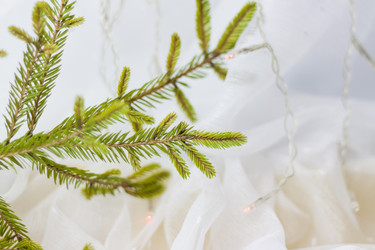 Similar image 21176571