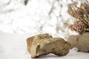 Similar image 21176346