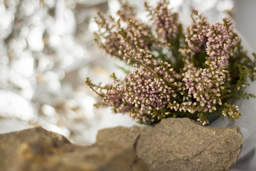 Similar image 21176347