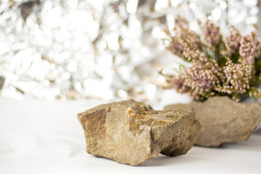 Similar image 21176349