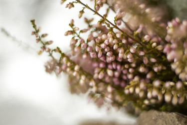 Similar image 21176357