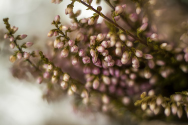 Similar image 21176358