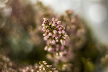 Similar image 21176359