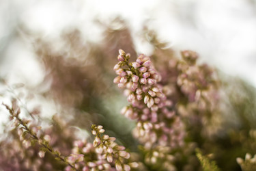 Similar image 21176360