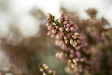 Similar image 21176361