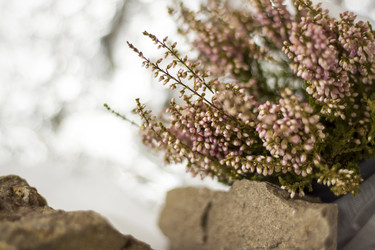 Similar image 21176362