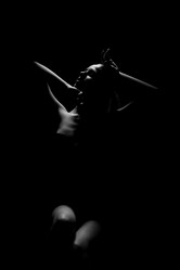 Similar image 21184592