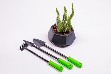 Similar image 21172220