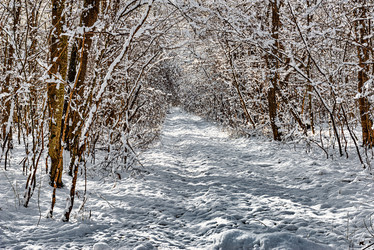 Similar image 21172239