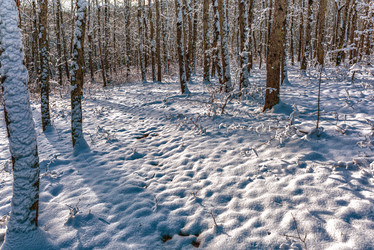 Similar image 21172240