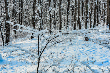 Similar image 21172241