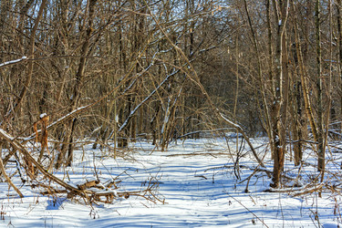 Similar image 21172242