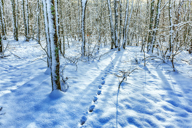 Similar image 21172243