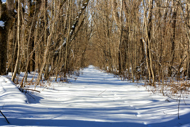 Similar image 21172244