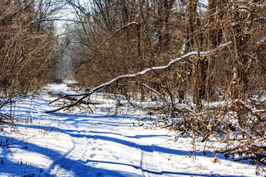 Similar image 21172245