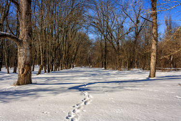 Similar image 21172246