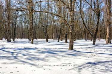 Similar image 21172249