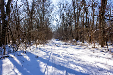 Similar image 21172252