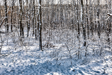 Similar image 21172255