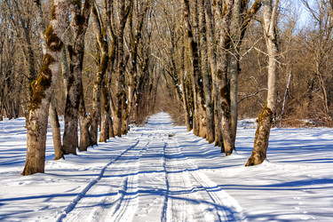 Similar image 21172260