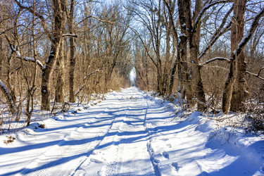 Similar image 21172261