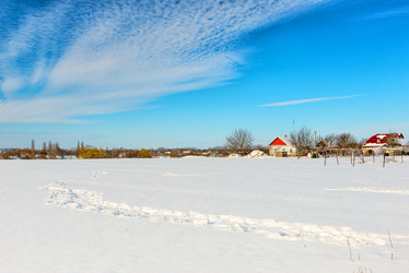 Similar image 21172262