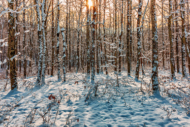 Similar image 21172263