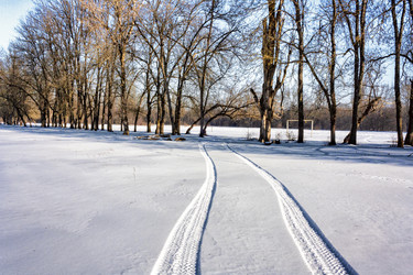 Similar image 21172264