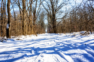 Similar image 21172265