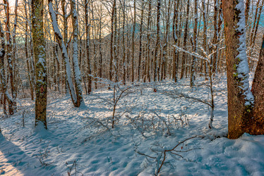 Similar image 21172266