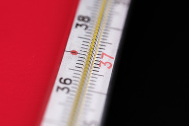 Similar image 21169314