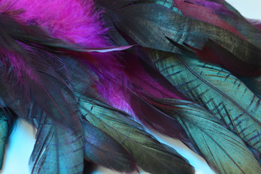 Similar image 21168830