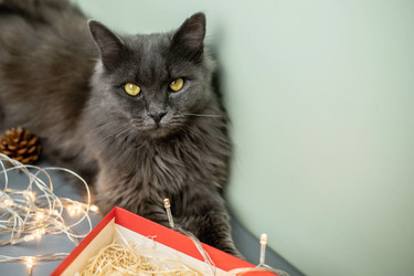 Similar image 21168473