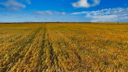 Similar image 21174129