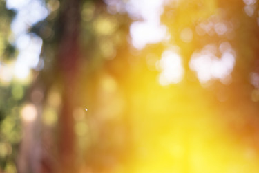 Similar image 21174131