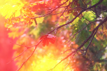 Similar image 21174132