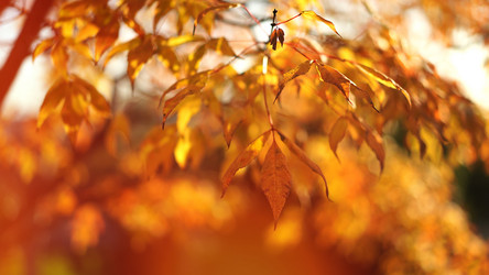 Similar image 21174133