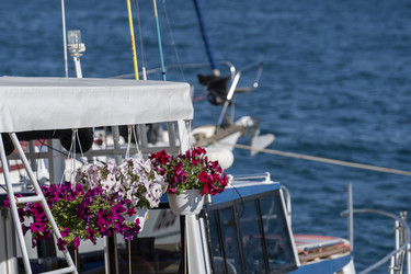 Similar image 21174134