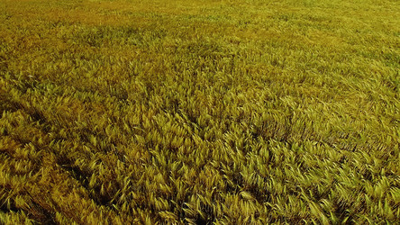 Similar image 21174140