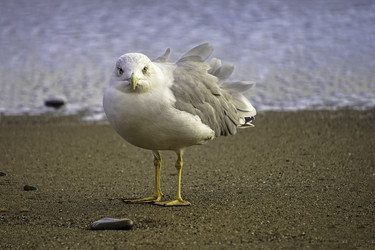 Similar image 21174158