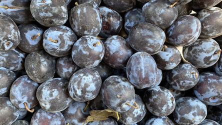 Similar image 21174324